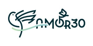 Amor30 logo 300x150